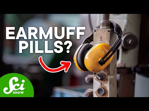 化學耳罩。聽力保護的未來？| 科學秀新聞 (Chemical Earmuffs: The Future of Hearing Protection? | SciShow News)