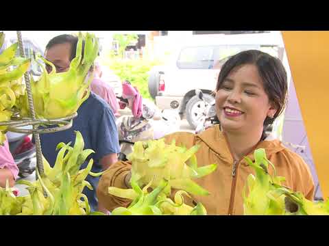 Baixe o produto OCOP TPCHM