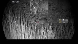DNT Optics Zulus V2 - Great Long Range Rabbit Action