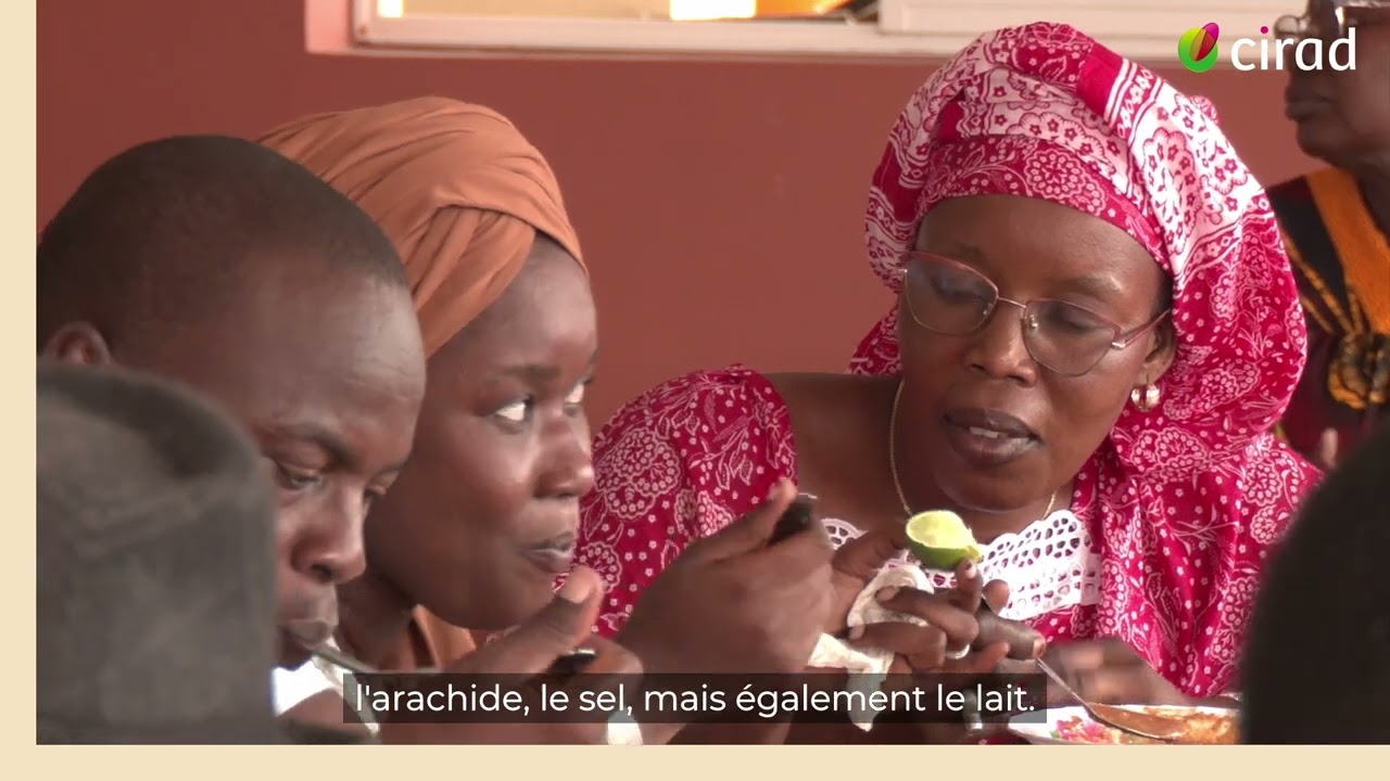 Producteurs, consommateurs, distributeurs... ensemble pour une alimentation durable au Sénégal