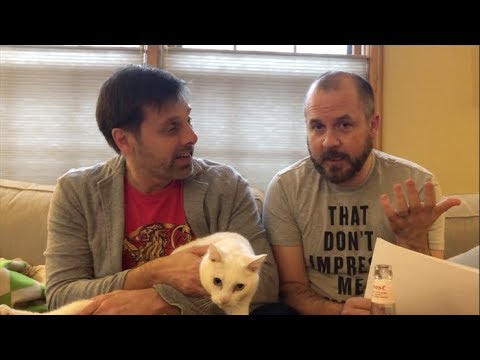 Sweet Tea No Shade Knitting Podcast Ep. 27