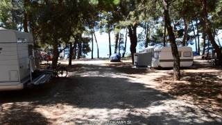 preview picture of video 'Camp site Pineta - Savudria  - Istria'