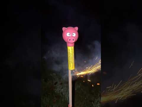 Pigs Can Fly #shorts #firework #newyear