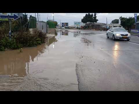 דאלית אל כרמל היום