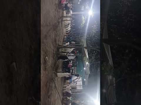 sienbra de idec los limones Gualan zacapa. del .21 29 de marzo te esperamos.