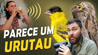 Miniatura do vídeo