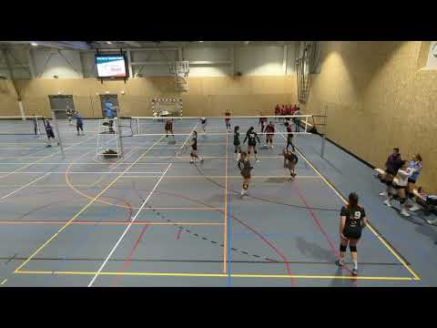 Erasmus Volley DS 2 VS VCN DS 4