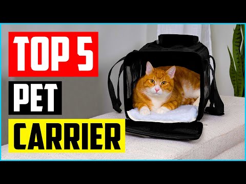 Top 5 Best Airline Approved Pet Carrier of 2022 Review