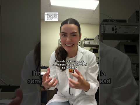 What happens when a brain cell dies? #neuroscience #science #brainhealth