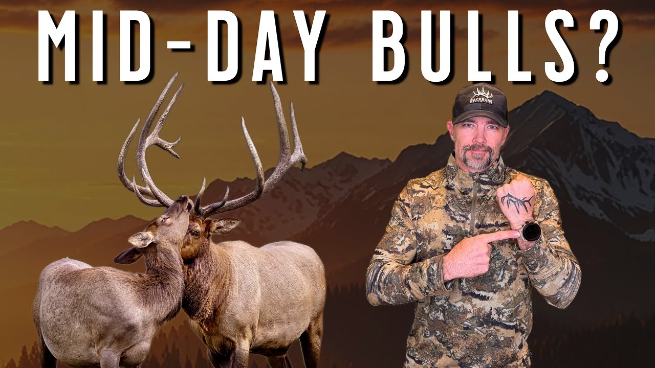 Elk Hunters Must Understand This Daily Pattern to Find More Bulls