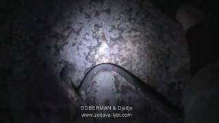 preview picture of video 'KK9 spuštanje-KK9 descent (by DOBERMAN) 3/3'
