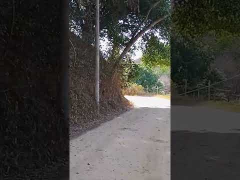 Terra Natal, quantas histórias vividas aqui, passeios de charrete às missas- Guiricema MG