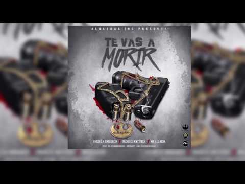 Valdo la eminencia x pacho el antifeka x Mb alqaeda " Te vas a morir "