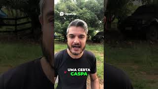 Cachorro Coçando  6 Causas de Coceira no Seu Cão
