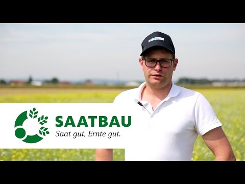 MÄHDRUSCHSAAT: alternative Anbaumethode für ZWISCHENFRÜCHTE!