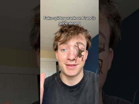 Spider🕷️prank (gone wrong)