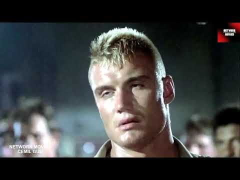 Red scorpion escorpião vermelho