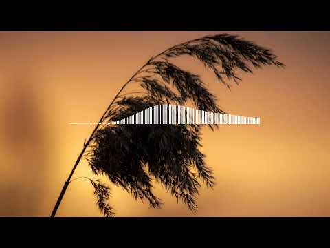 dive to the heart - 730 (Nightcore edit)