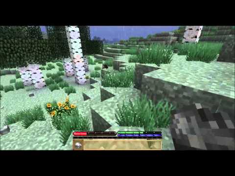 Tweety plays Terrafirmacraft ep 13 - more molds