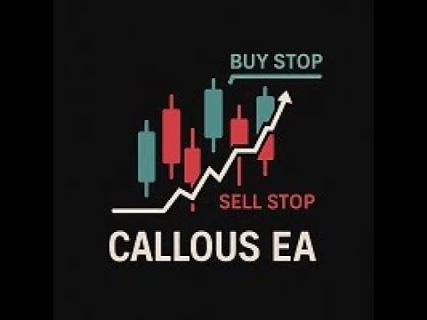 Video Callous EA mt5