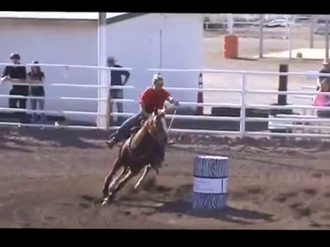 2016 02 13 Pam DiMaggio on Frenchy First Charm