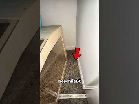 Er dachte, sein Haustier sei weggelaufen … doch dann sah er das hier 😳