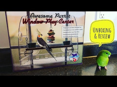 AWESOME PARROT WINDOW PLAY CENTRE -- Unboxing & Review