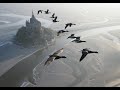 Amazing Flights With Birds On Board Of A Microlight Christian Moullec Avec Ses Oiseaux