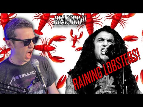 🤯 You NEED to hear this! The Slayer/B-52's Mash up "Raining Lobsters!" REACTION!