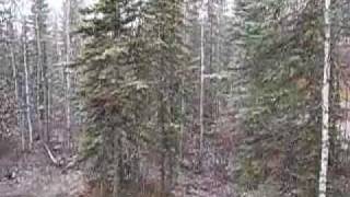 Cinco de Mayo SNOW in Fairbanks