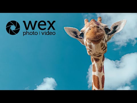 How To | Photograph the Safari, UK