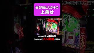 生き物乱入からの上乗せ!?   #shorts #パチスロ #東京喰種 #れなまる #谷岸玲那