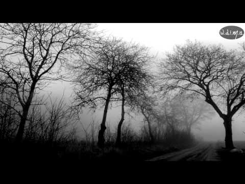 Evadne - This Complete Solitude (lyrics)