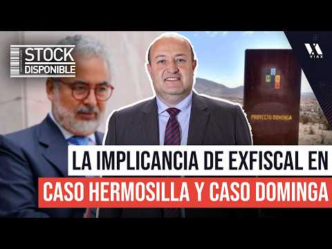 The SECRET role of former prosecutor Guerra in the Hermosilla case and the Dominga case