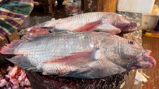 POPULAR BIG TILAPIA FISH CUTTING SKILLS | FISH MARKET BANGLADESH