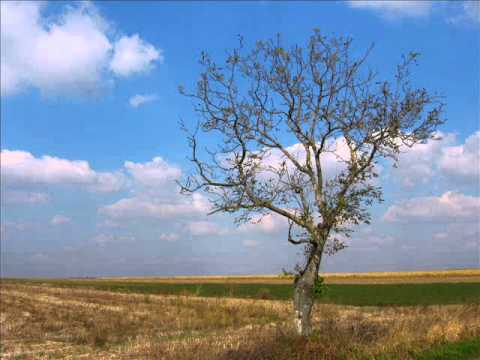 Darkwood Dub - Kraj oktobra