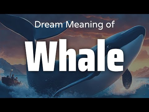 Whale Dream Meaning & Symbolism | Interpretation Psychology