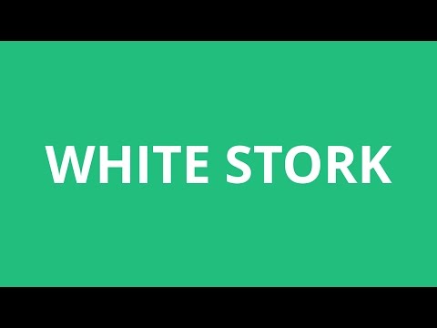 How To Pronounce White Stork - Pronunciation Academy
