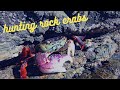 How To Catch And Cook ROCK CRABS DIY Crab Snare