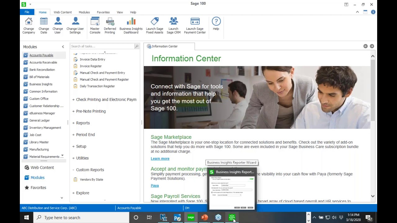 Sage 100 Business Insights