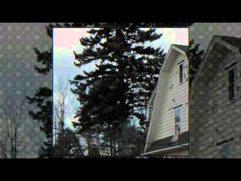 Drew The Architect - I Guess (ft. Bones & Cat Soup)