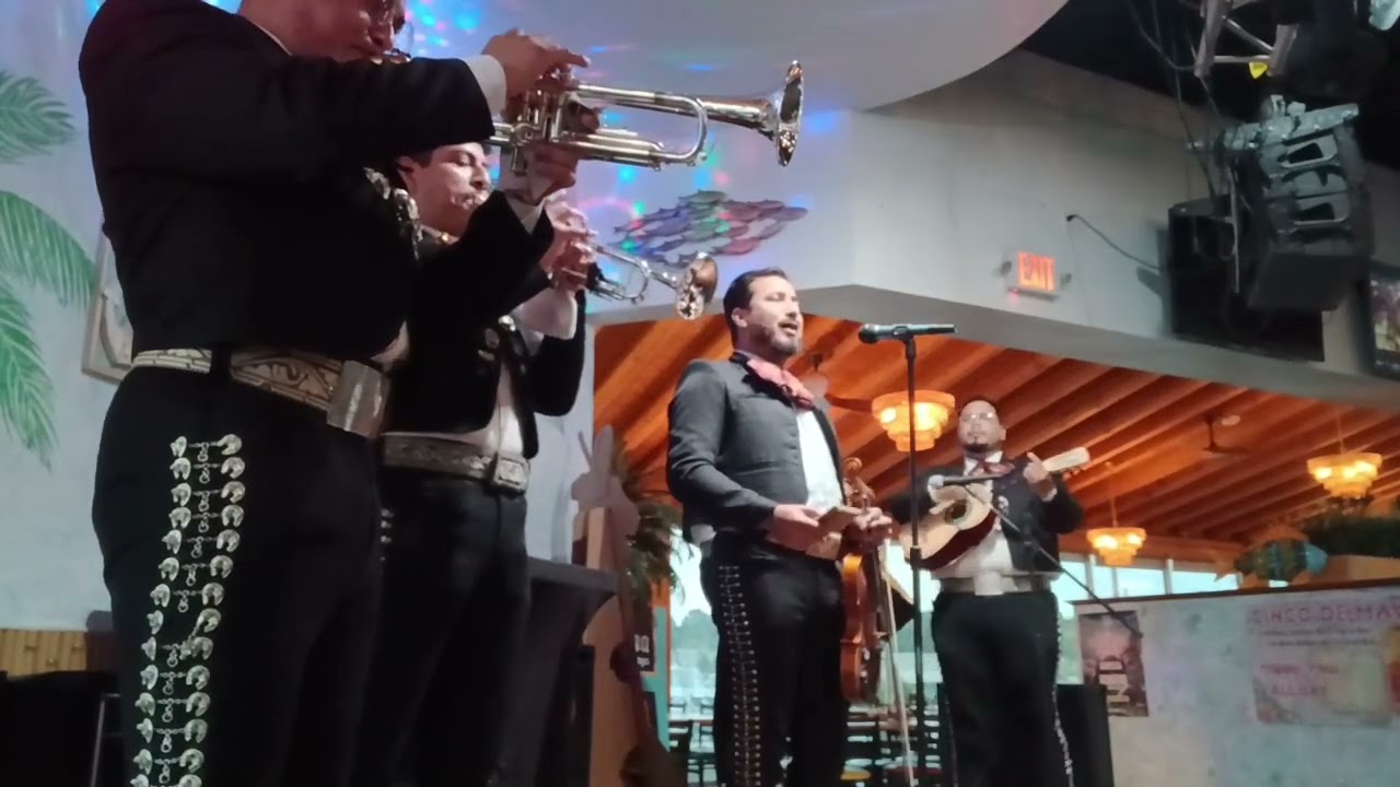 Promotional video thumbnail 2 for Mariachi Elegancia