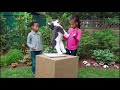 Plan The Play Sesame Street Episode 4901