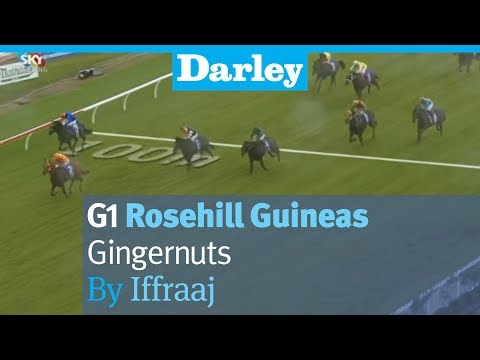 Gingernuts by Iffraaj wins the G1 Rosehill Guineas