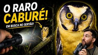 A CORUJA MAIS PROCURADA DO BRASIL!
