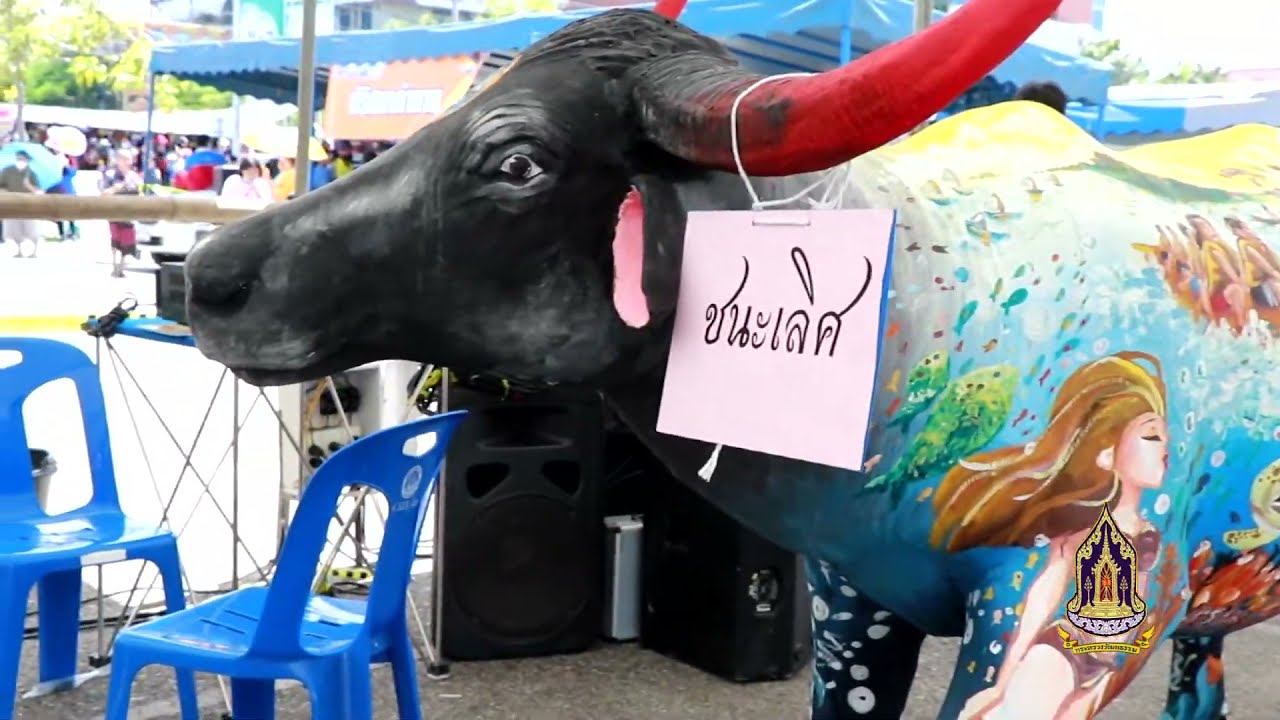 ประเพณีวิ่งควาย