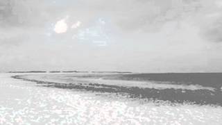 Flying Lotus - Tea Leaf Dancers (Rae Davis remix)