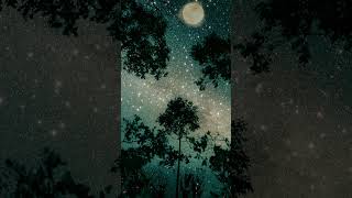 Download lagu Nature No Copyright Video | Colorful Leaves Copyright Free Videos | Free Stock Videos | Free Footage mp3