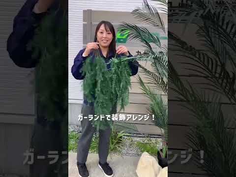 ≪リフェイクグリーン≫のご紹介です(グローベン株式会社)