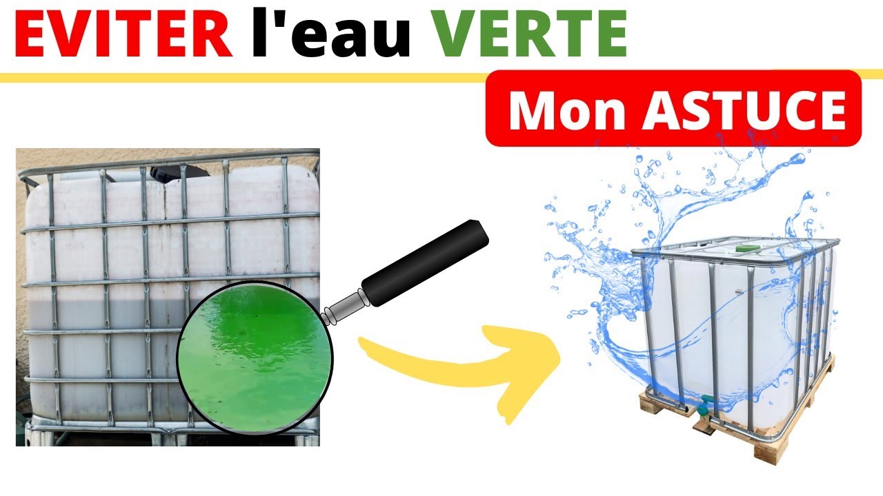 EVITER d'avoir une EAU de pluie VERTE ( algues ...)  | FamilyRoss